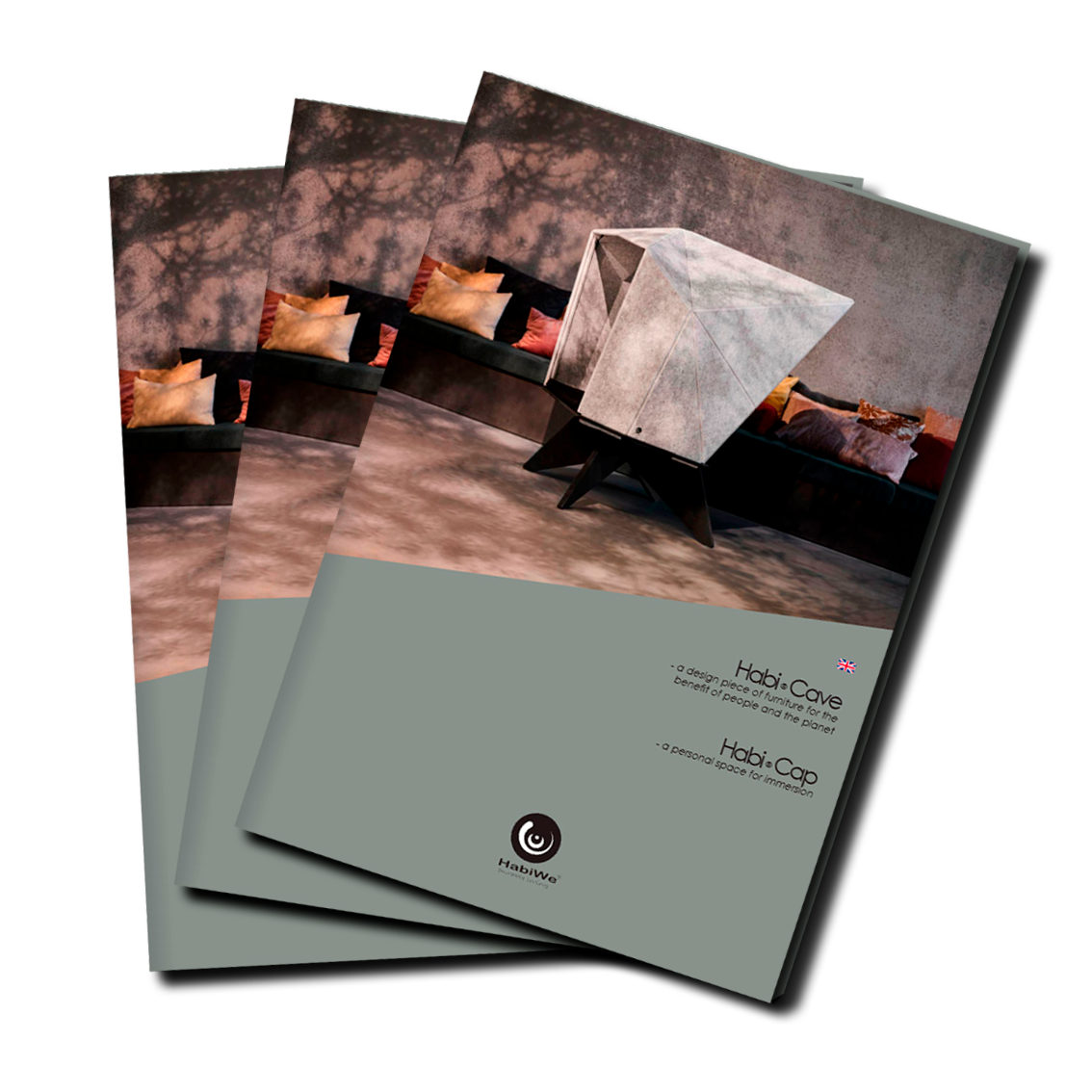 Image with text section